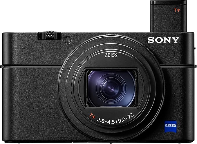 Compact camera: Sony RX100 VII